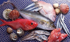 Где заказать качественные рыбные изделия?